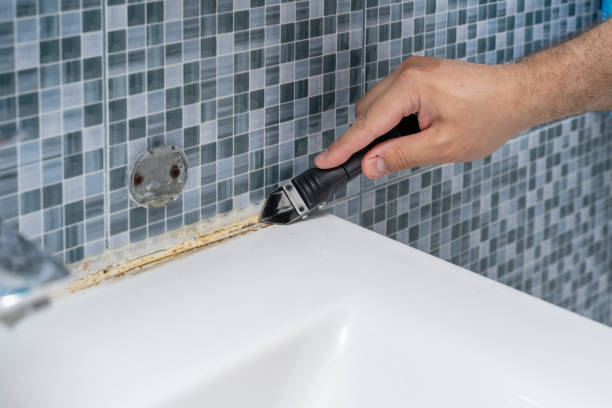 Best Bathroom Mold Remediation in Stonewall, LA